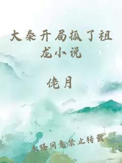 大秦開局抓了祖龍小說