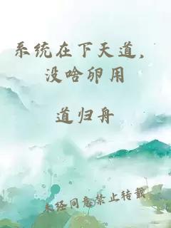 系統(tǒng)在下天道，沒啥卵用