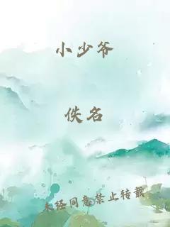 小少爺