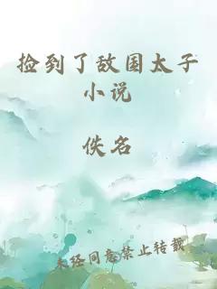 撿到了敵國太子小說