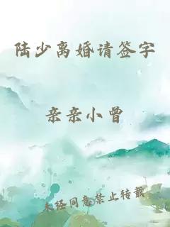 陸少離婚請簽字