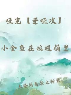啞寵【聾啞攻】