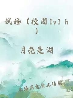 試婚（校園1v1 h)