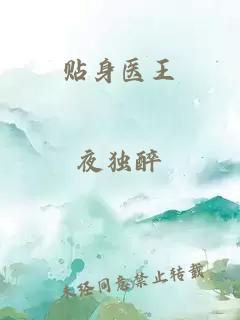 貼身醫(yī)王