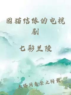 因貓結(jié)緣的電視劇