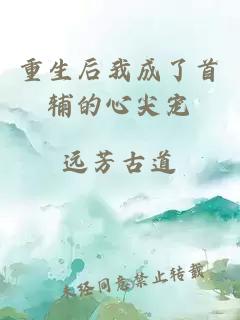 重生后我成了首輔的心尖寵