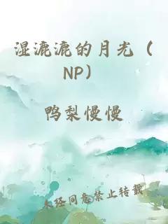 濕漉漉的月光（NP）