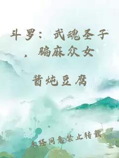 斗羅：武魂圣子，騙麻眾女